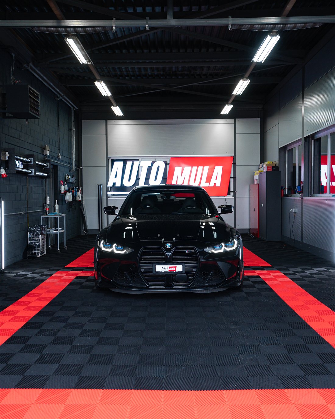 AUTO MULA